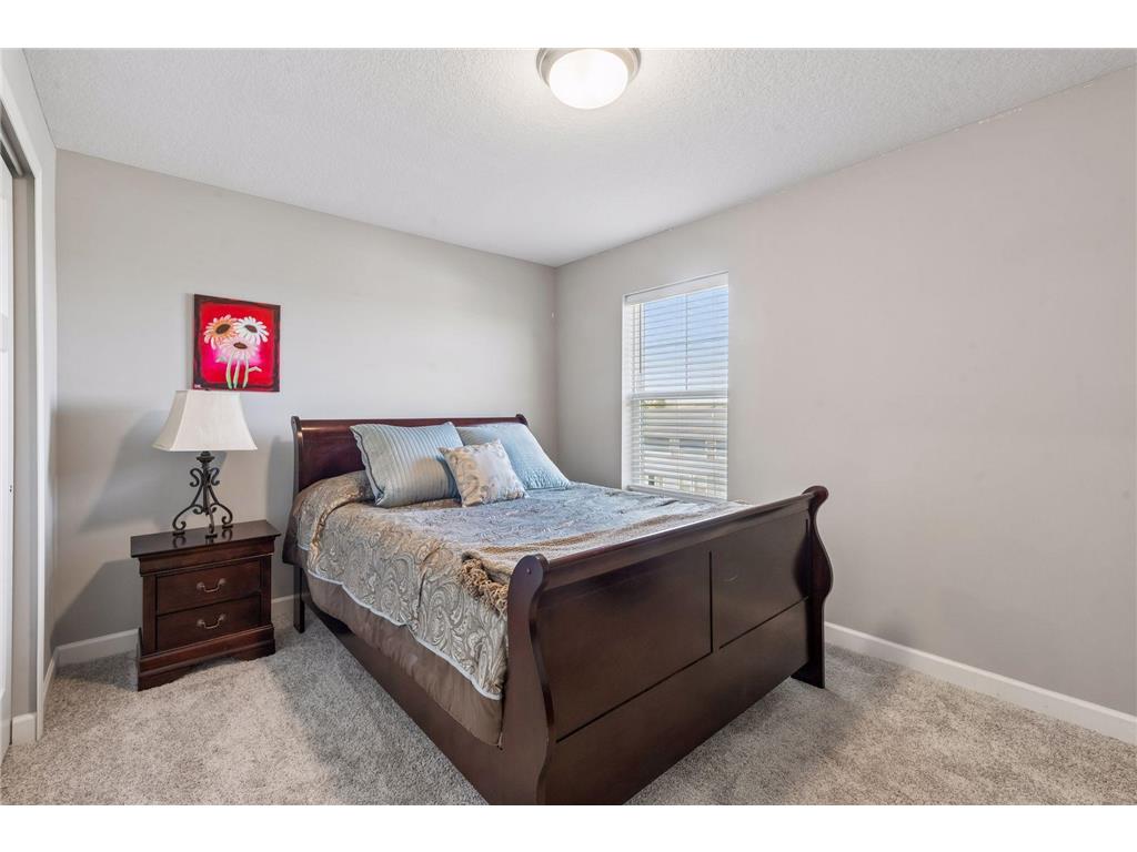 461 Murray Hill Way Waconia MN 55387 7059373 image23