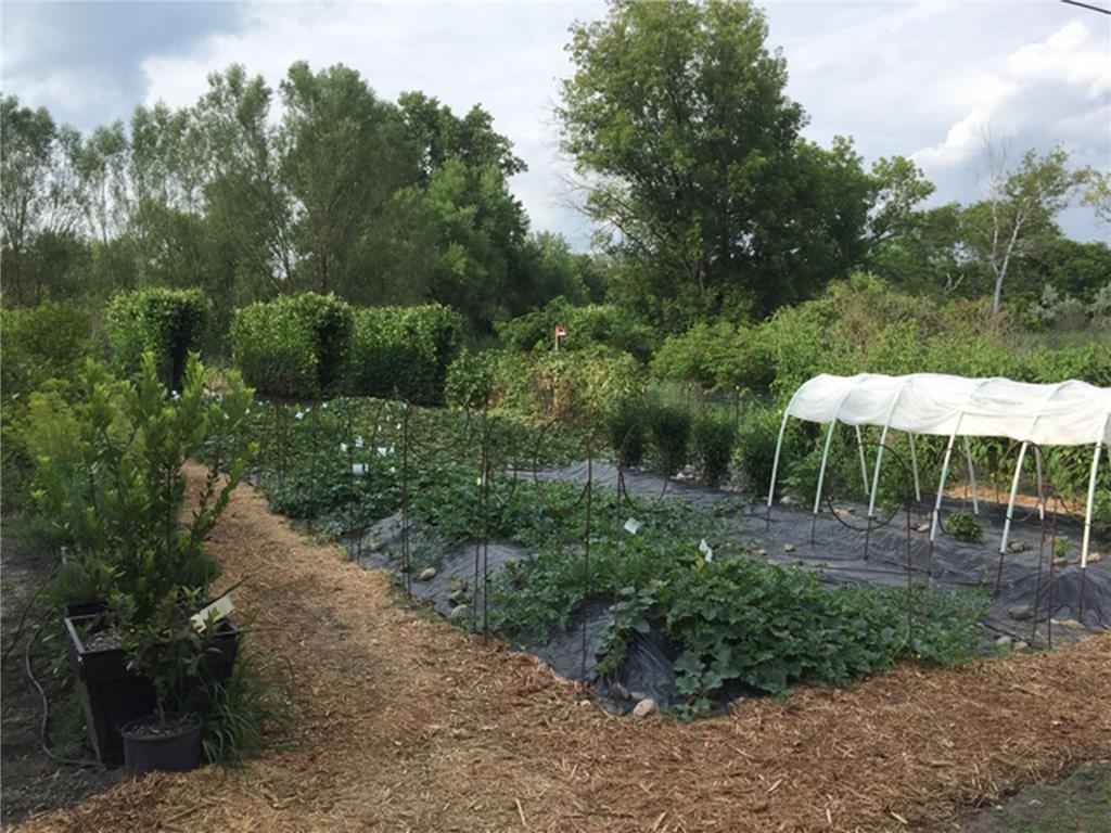 461 Peavey Lane Wayzata MN 55391 6780111 image48