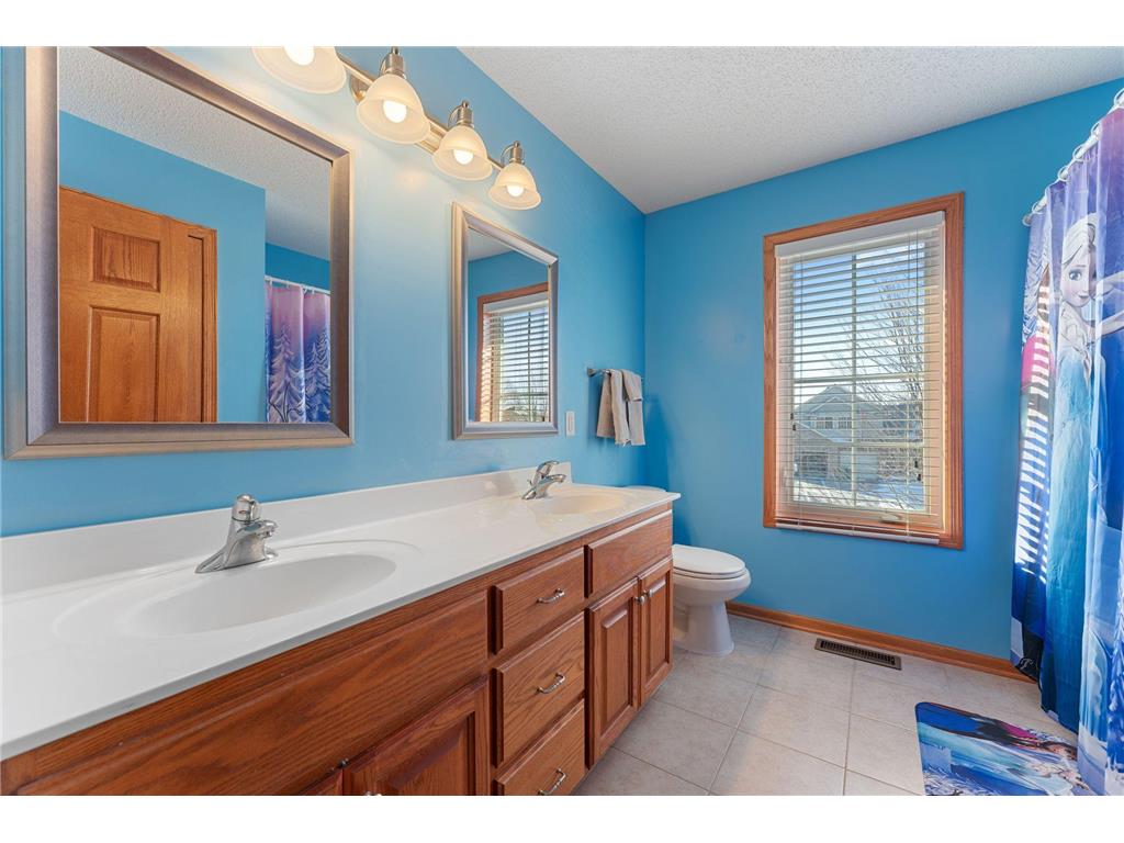 461 Rowena Curve Elko New Market MN 55054 7023950 image40