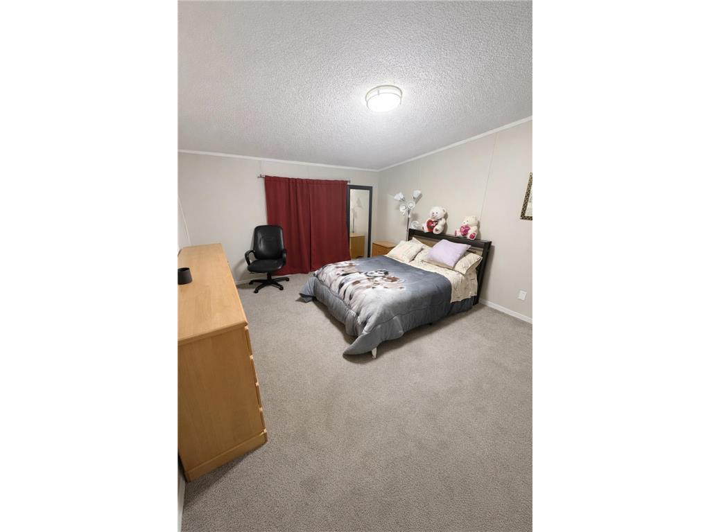 4613 Lisa Court Arden Hills MN 55112 7008544 image4