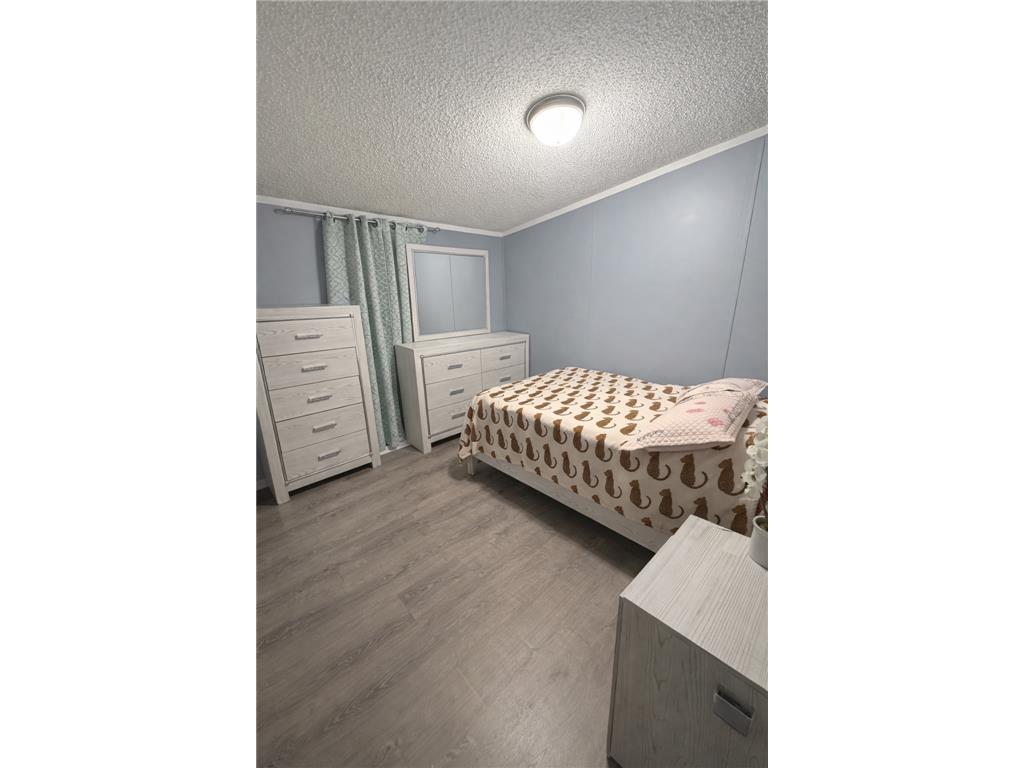 4613 Lisa Court Arden Hills MN 55112 7008544 image5