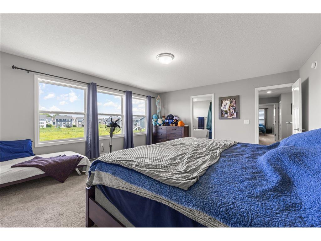 4617 Cobalt Lane Woodbury MN 55129 6749050 image20