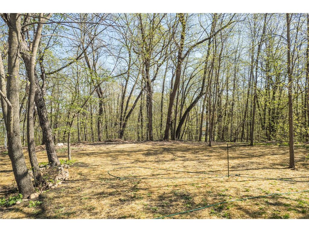 46174 County Highway 35 Vergas MN 56587 - Sybil 6702254 image50