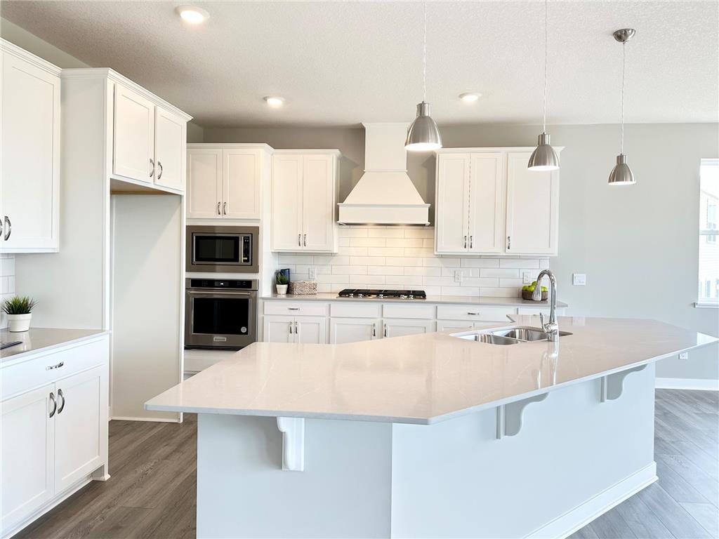 4618 172nd Street W Lakeville MN 55044 6568921 image1