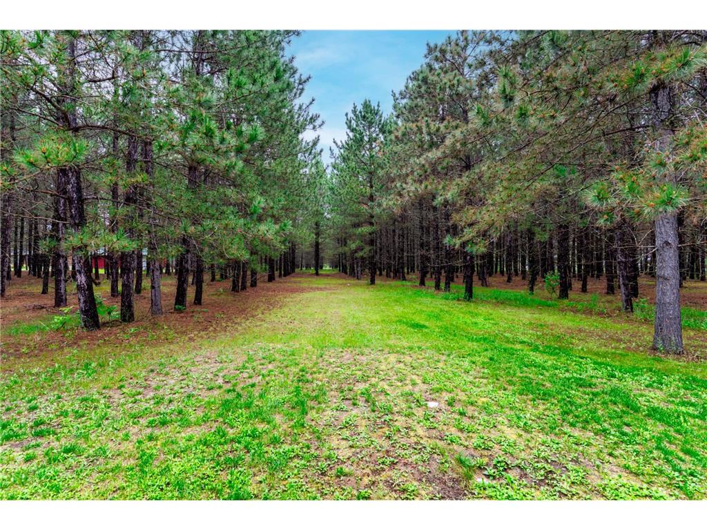 4619 Jenny Lane NW Bemidji MN 56601 6729732 image26