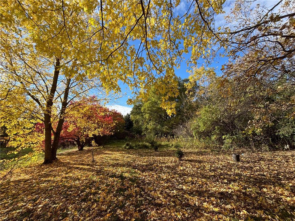 46279 193rd Street Morris MN 56267 6807579 image11