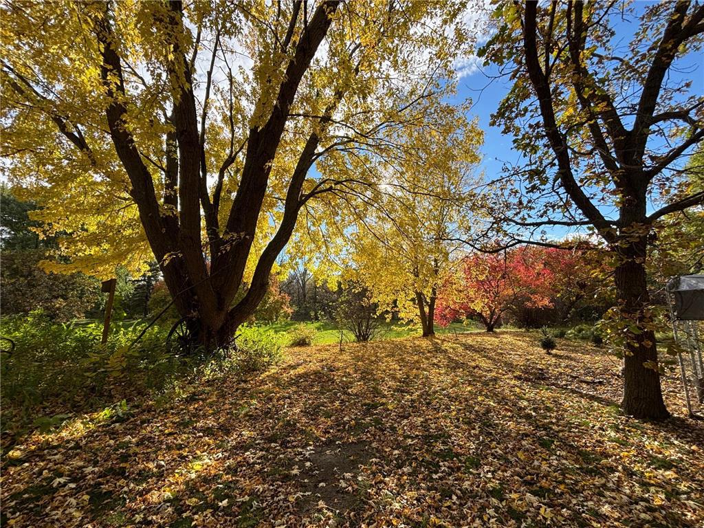 46279 193rd Street Morris MN 56267 6807579 image12