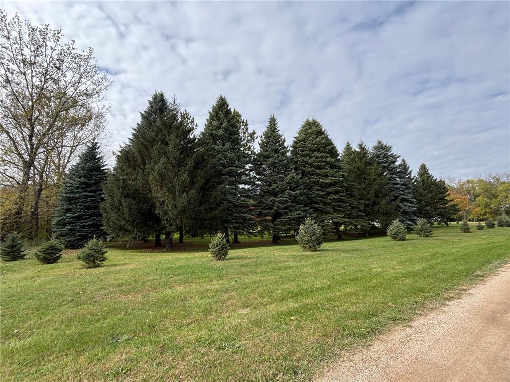 46279 193rd Street Morris MN 56267 6807579 image14