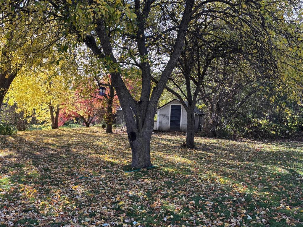 46279 193rd Street Morris MN 56267 6807579 image7