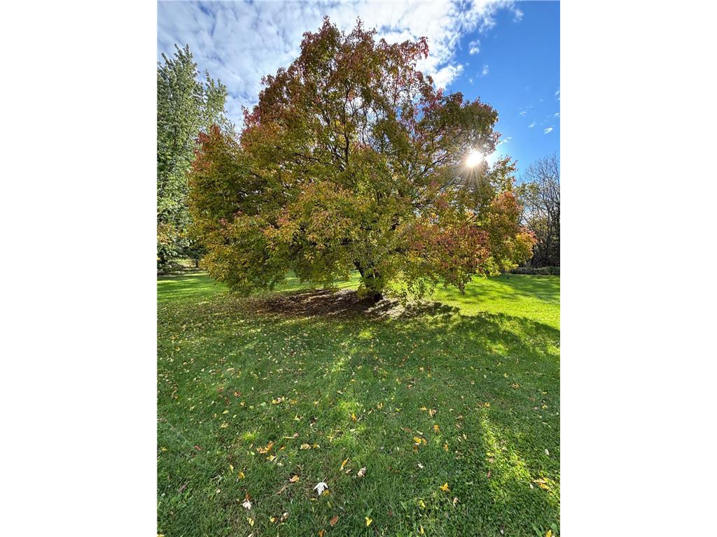 46279 193rd Street Morris MN 56267 6807579 image8