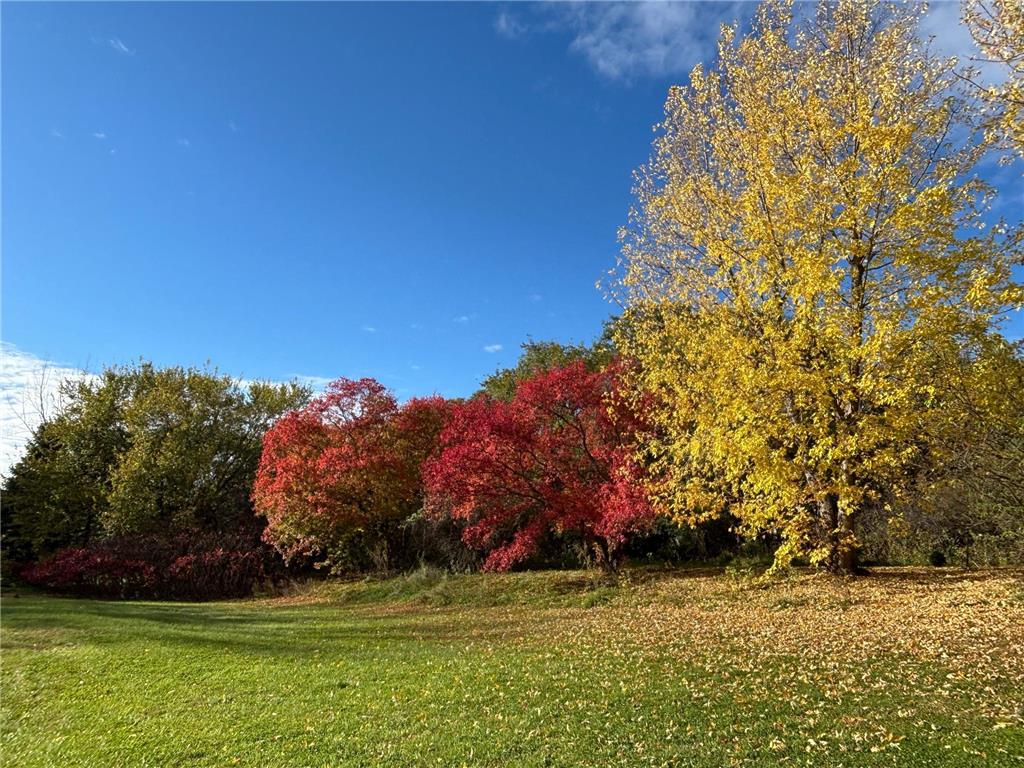 46279 193rd Street Morris MN 56267 6807579 image9