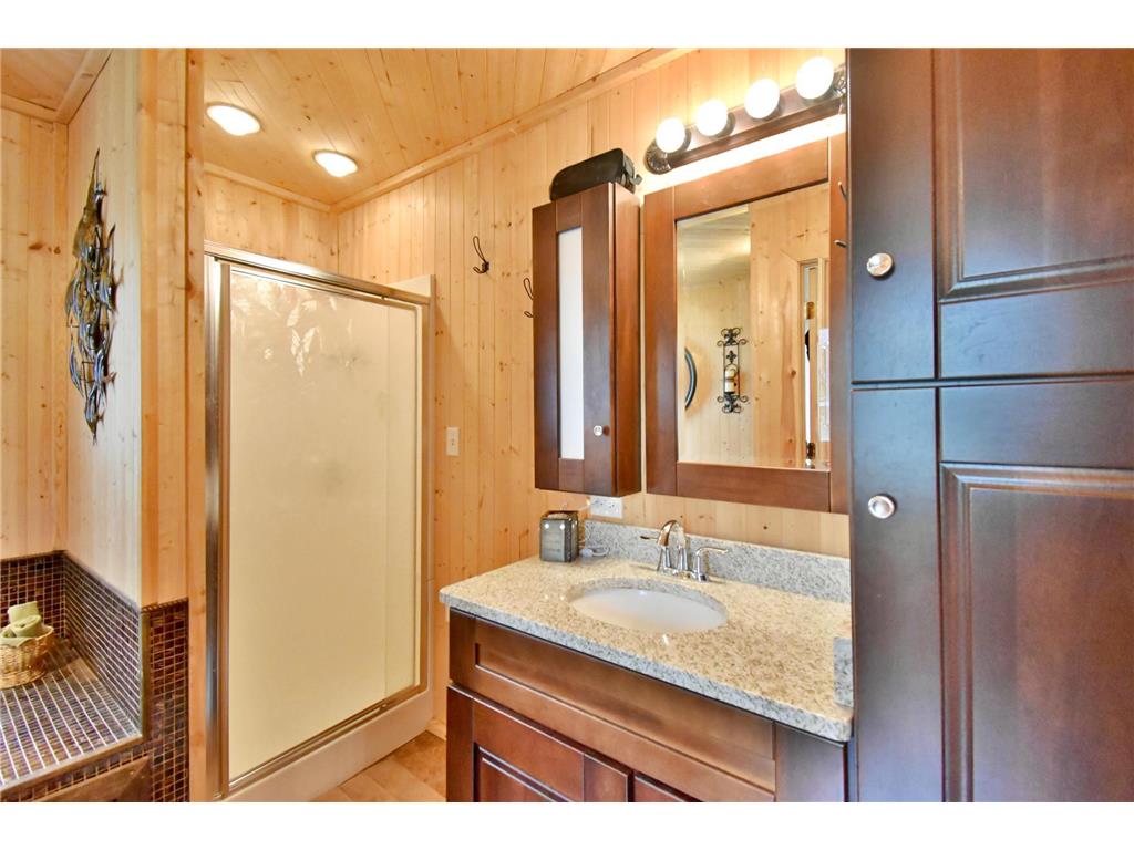 46350 Cambridge Drive Stanchfield MN 55080 - Goose 7039388 image15
