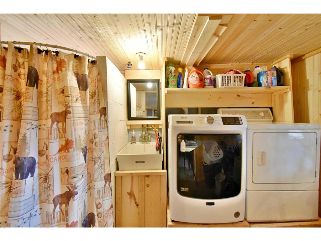 46350 Cambridge Drive Stanchfield MN 55080 - Goose 7039388 image18