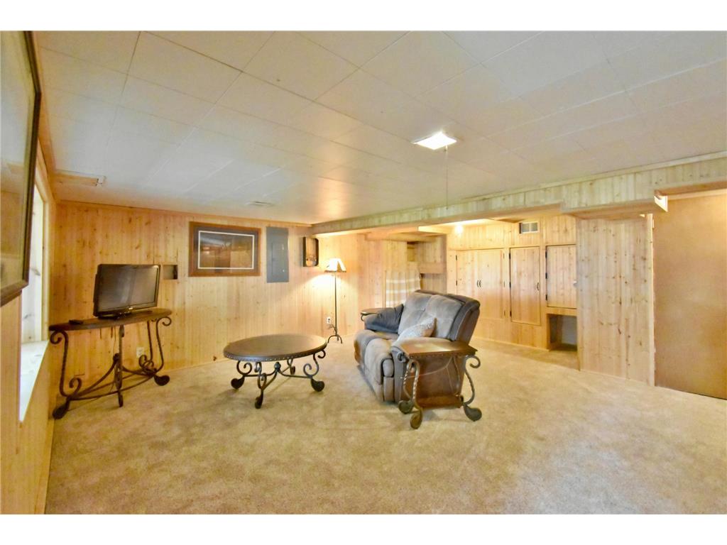 46350 Cambridge Drive Stanchfield MN 55080 - Goose 7039388 image19