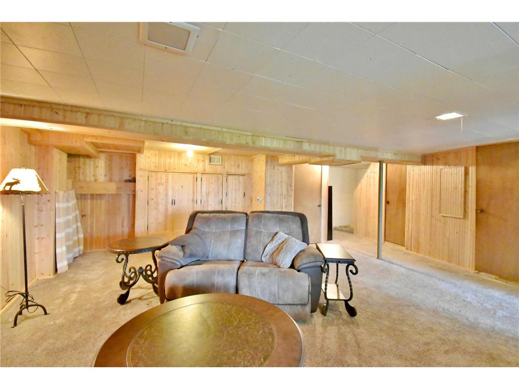46350 Cambridge Drive Stanchfield MN 55080 - Goose 7039388 image20