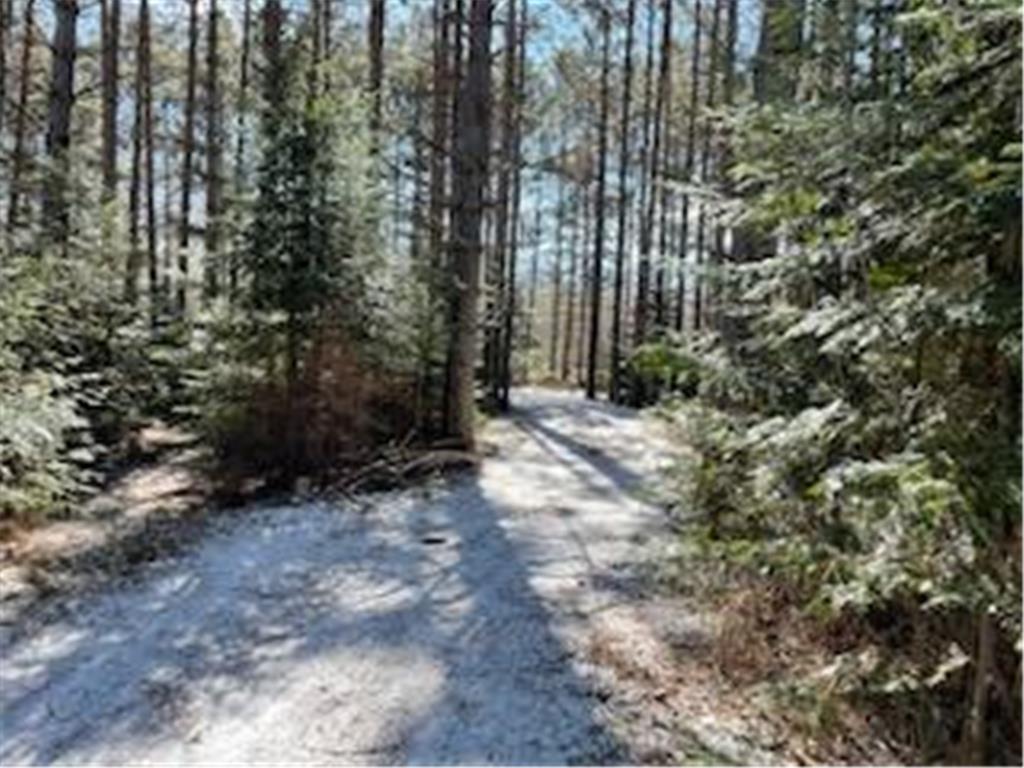 46358 E Nest Road Bowstring Twp MN 56636 - Jessie Lake 6503249 image1