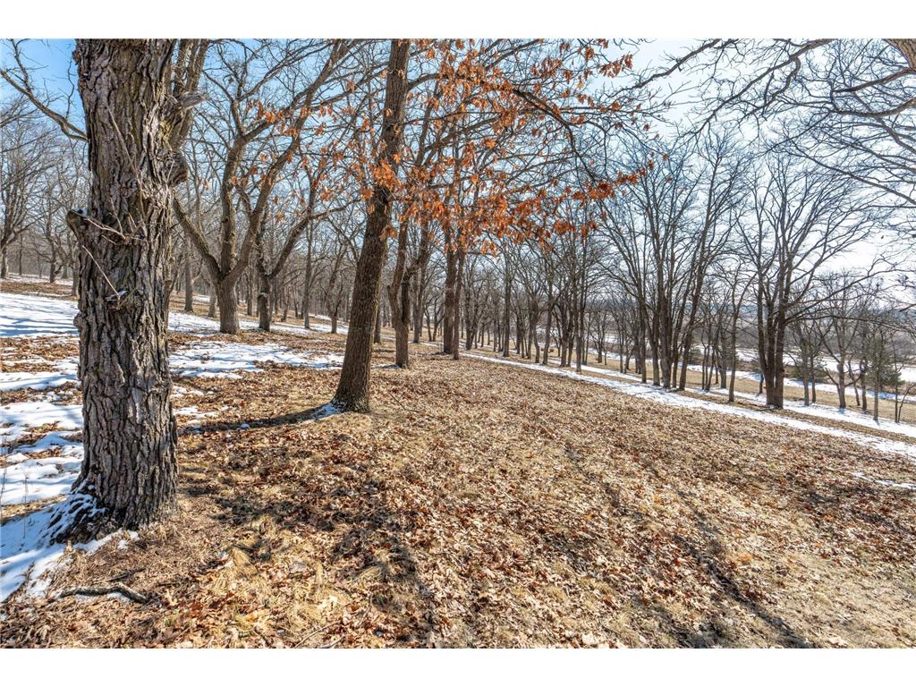 46367 State Highway 210 Nidaros Twp MN 56588 7050394 image37
