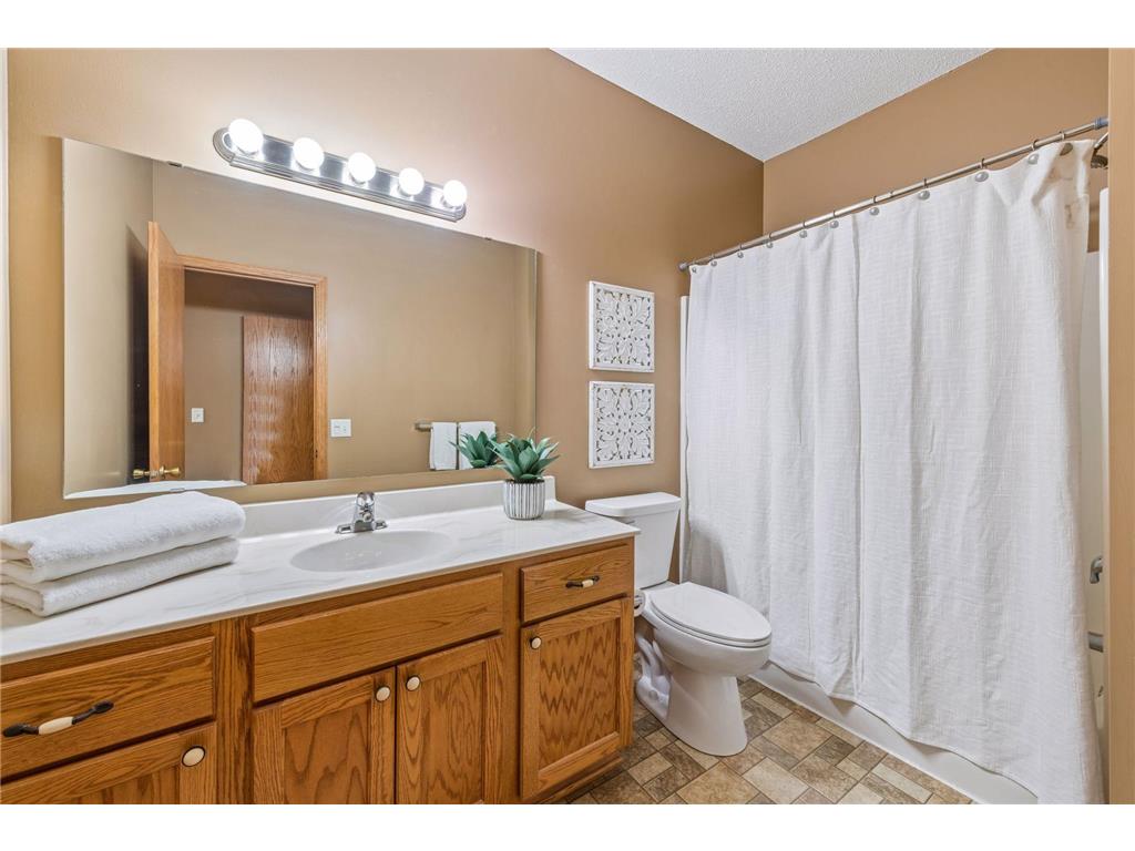 464 Meadow Lane Norwood Young America MN 55397 7073948 image15