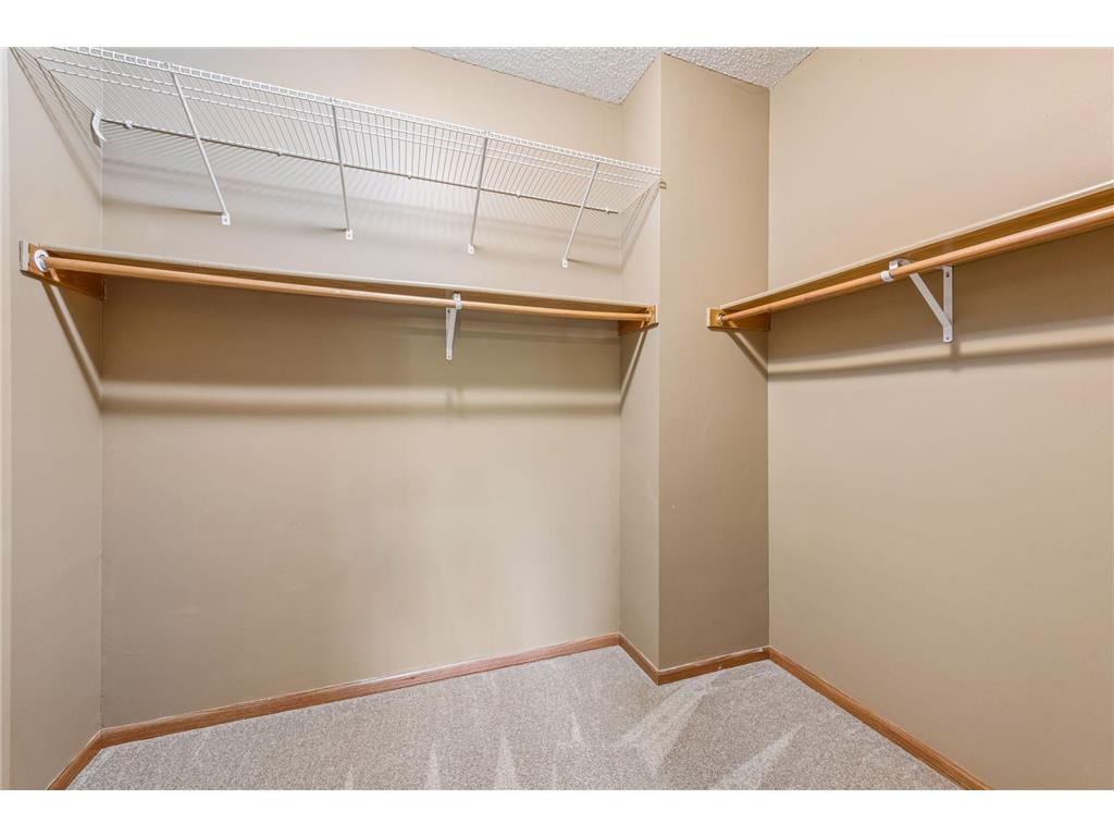 464 Meadow Lane Norwood Young America MN 55397 7073948 image16