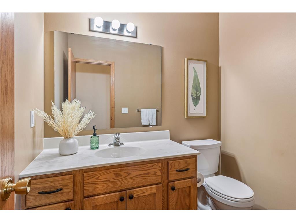 464 Meadow Lane Norwood Young America MN 55397 7073948 image19