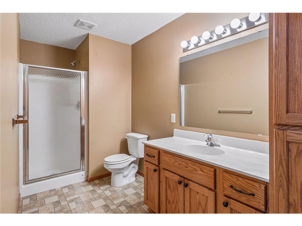 464 Meadow Lane Norwood Young America MN 55397 7073948 image26