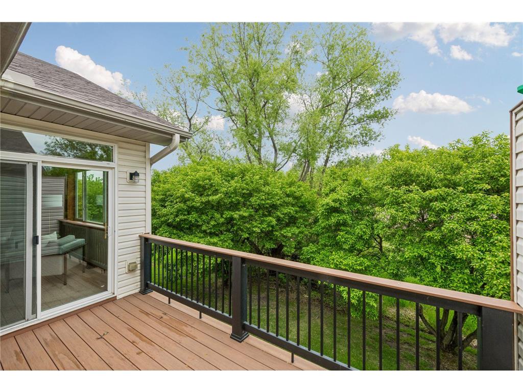 464 Meadow Lane Norwood Young America MN 55397 7073948 image28