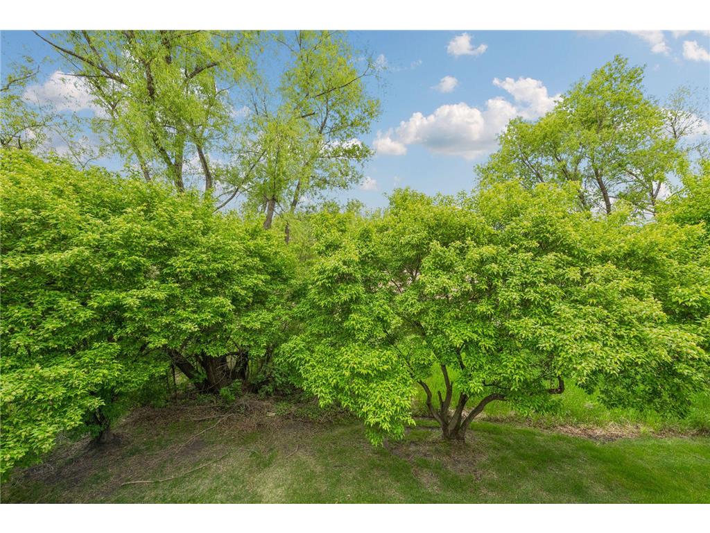 464 Meadow Lane Norwood Young America MN 55397 7073948 image30