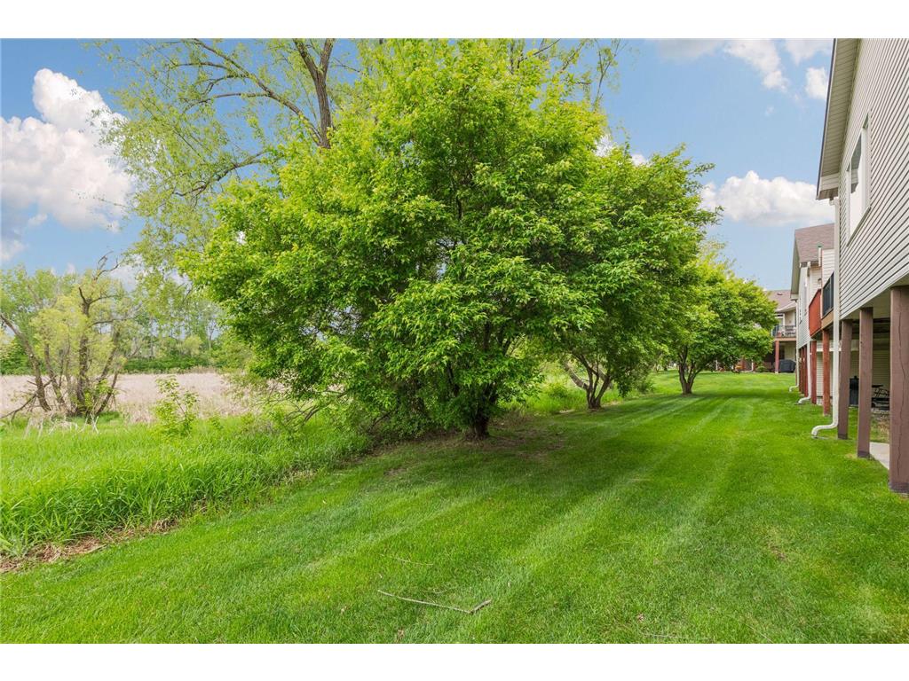 464 Meadow Lane Norwood Young America MN 55397 7073948 image31