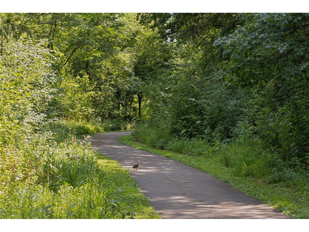 4640 McDonald Drive N Baytown Twp MN 55082 7008901 image73