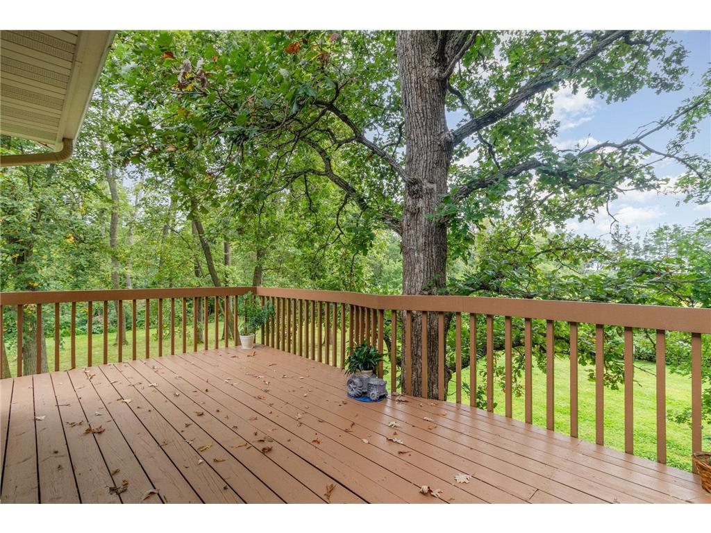 4645 Halstad Avenue Webster MN 55088 7005593 image32