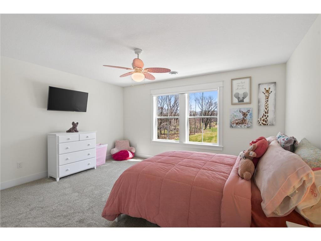 4647 145th Avenue NE Ham Lake MN 55304 7064886 image58