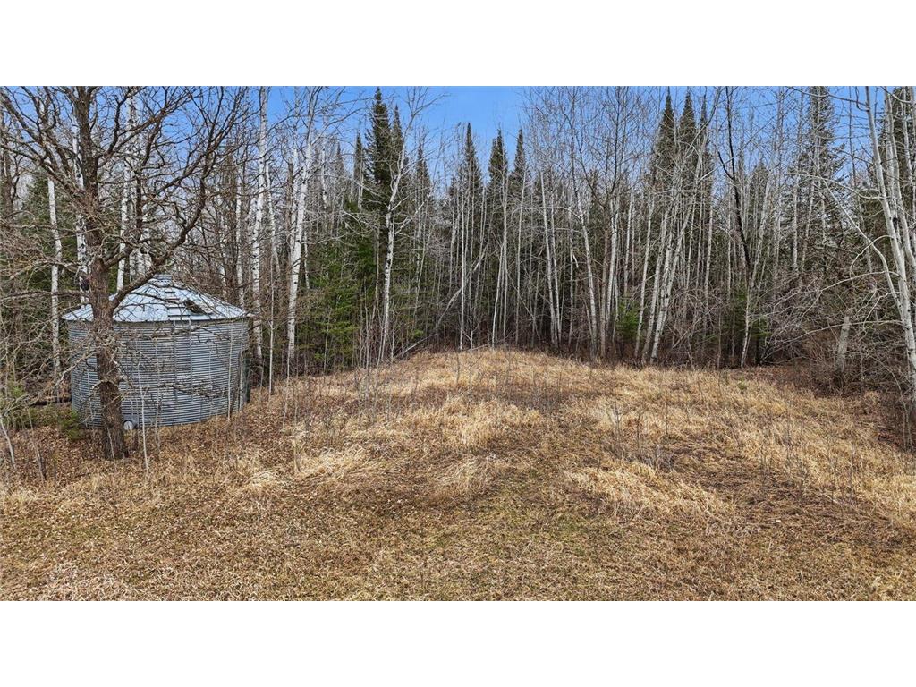 4650 County Road 22 Littlefork MN 56653 7024448 image9