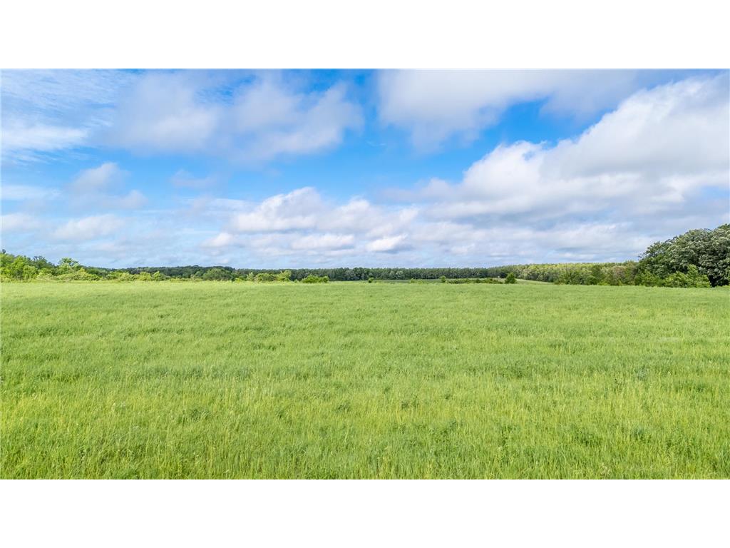 46519 County 9 Staples MN 56479 7087572 image31