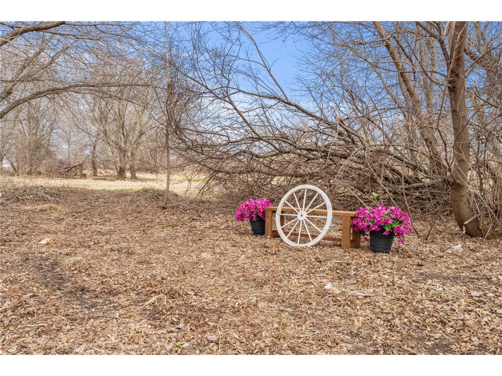 46645 Acacia Trail Stanchfield MN 55080 7056388 image20