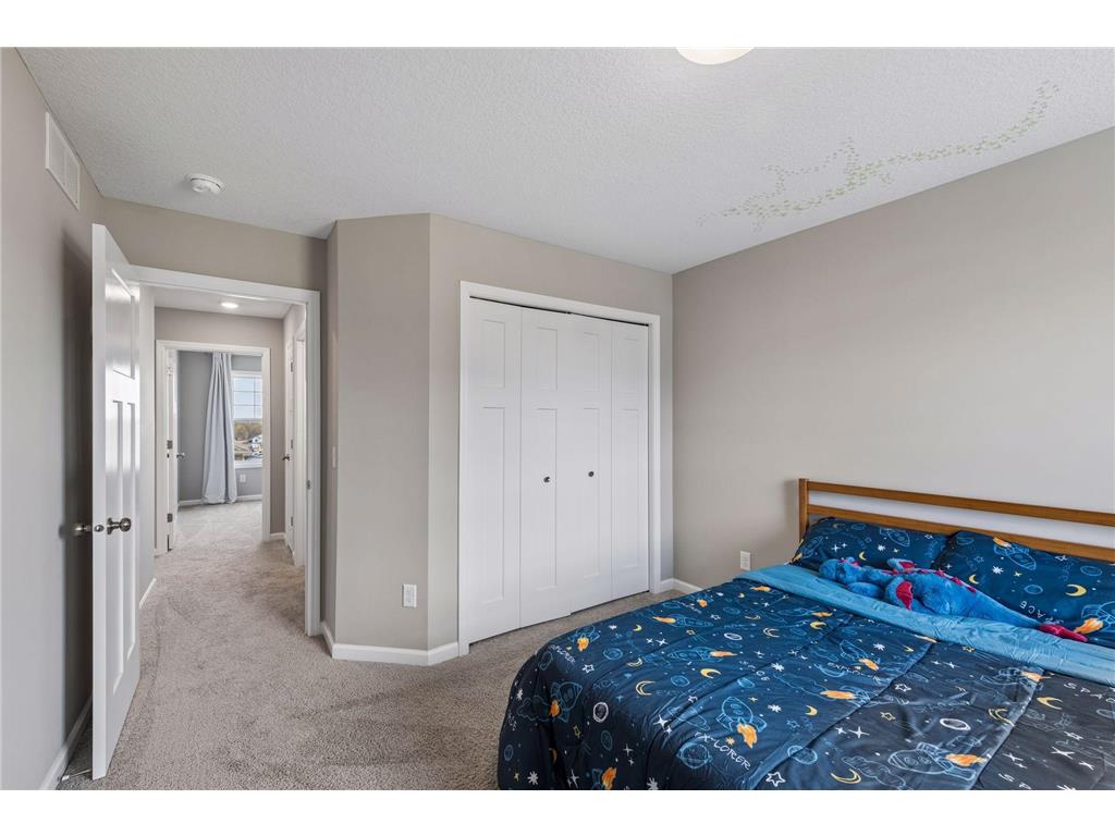 4669 Carnation Court Minnetrista MN 55331 7060845 image28