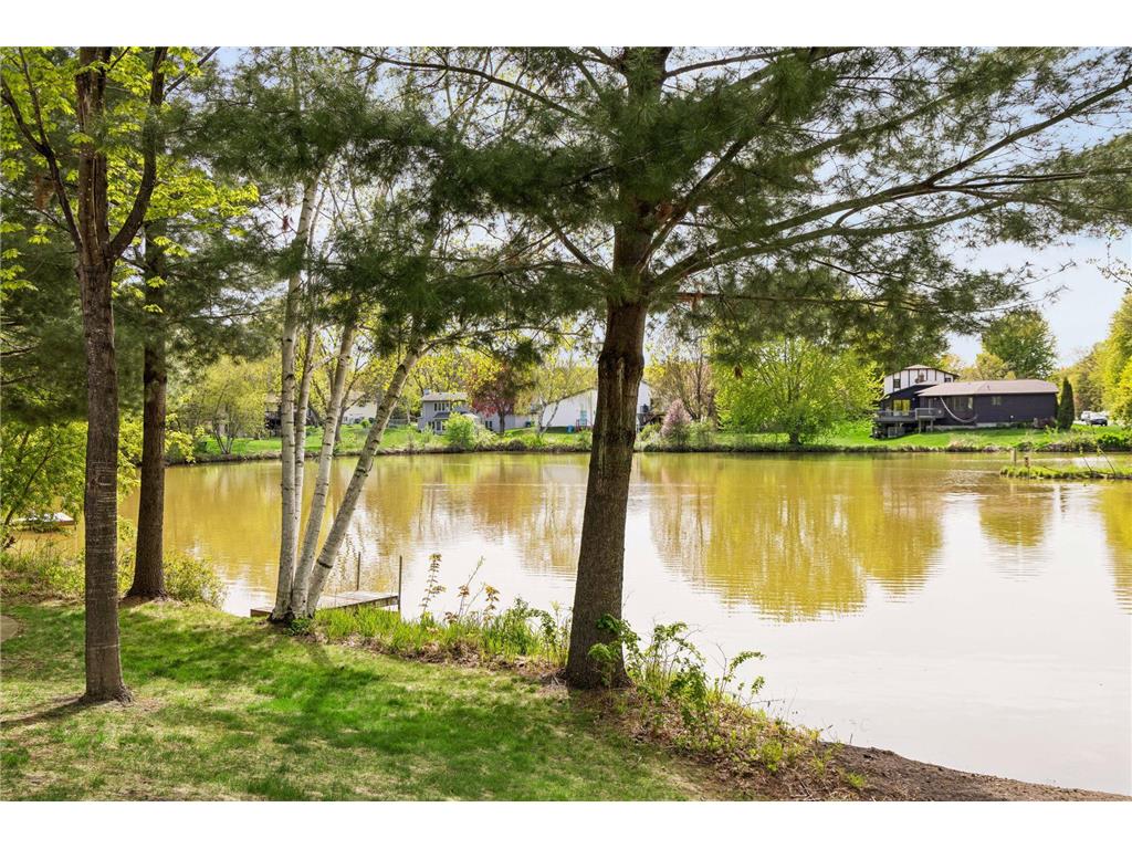 4669 Mackubin Street Shoreview MN 55126 - Willow Pond 7070184 image39