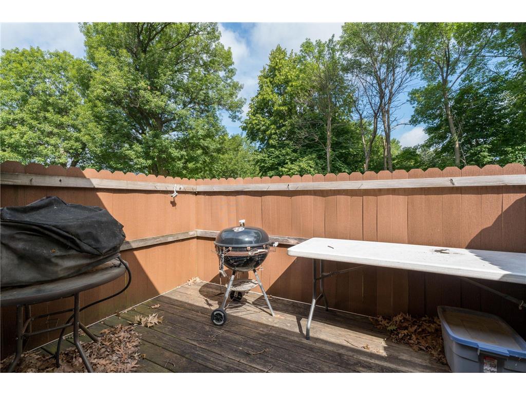 46747 Cape Horn Road Cleveland Twp MN 56017 - Middle Jefferson 7099941 image29