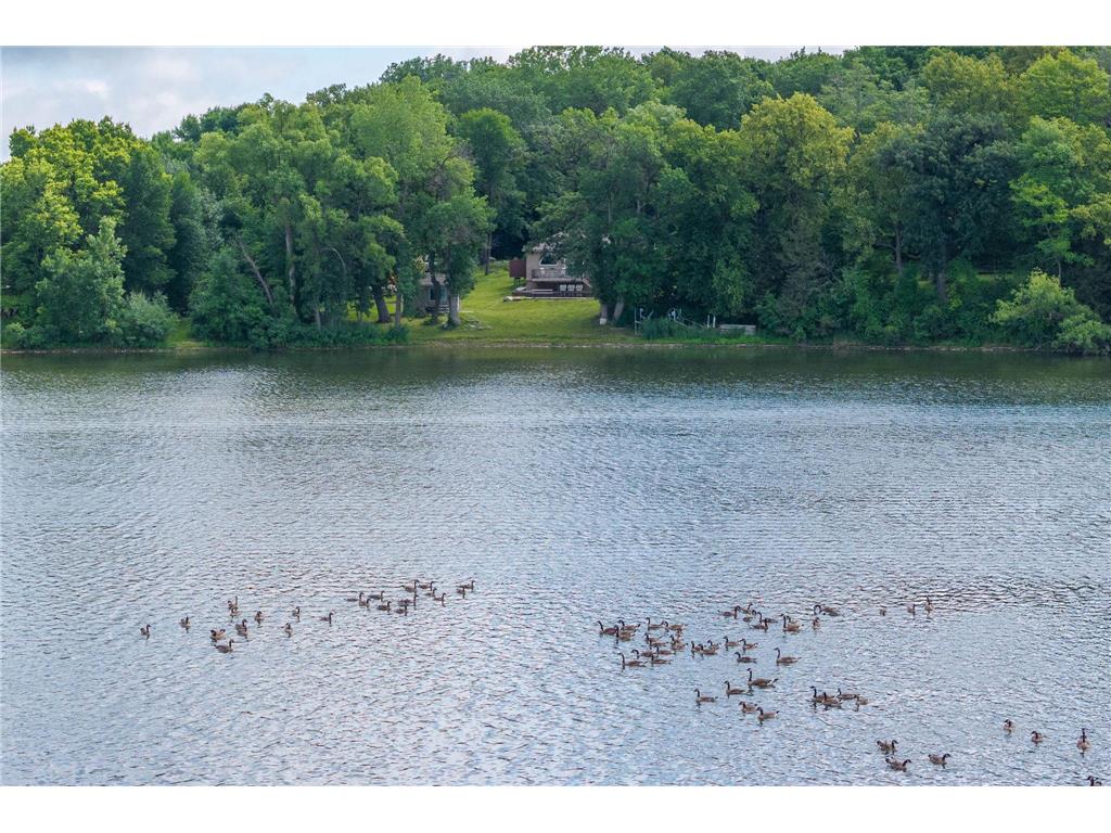 46747 Cape Horn Road Cleveland Twp MN 56017 - Middle Jefferson 7099941 image52