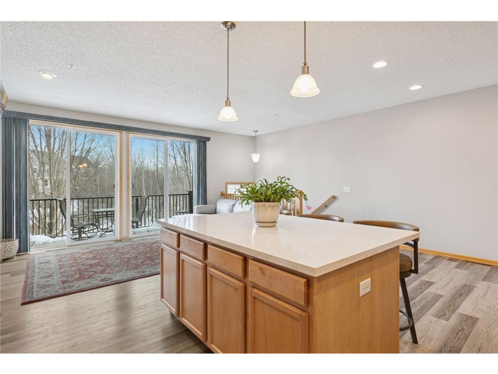 4675 Victor Path #5 Hugo MN 55038 7013998 image14