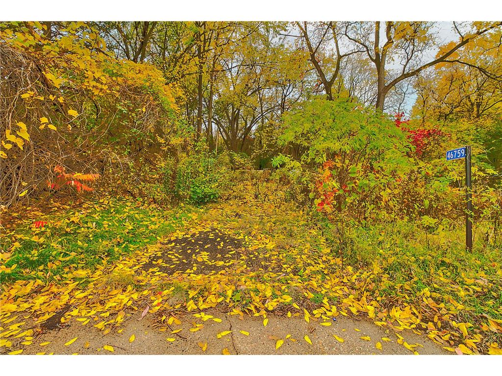 46759 Riverview Drive Dresbach Twp MN 55947 - Mississippi 6453405 image1