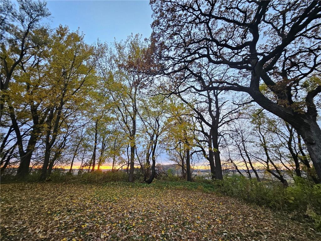 4680 NW 66th Street Medford MN 55049 7022132 image4