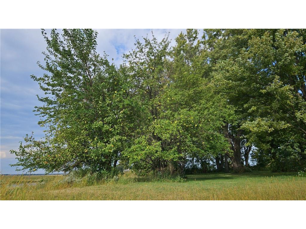 4680 NW 66th Street Medford MN 55049 7022132 image7
