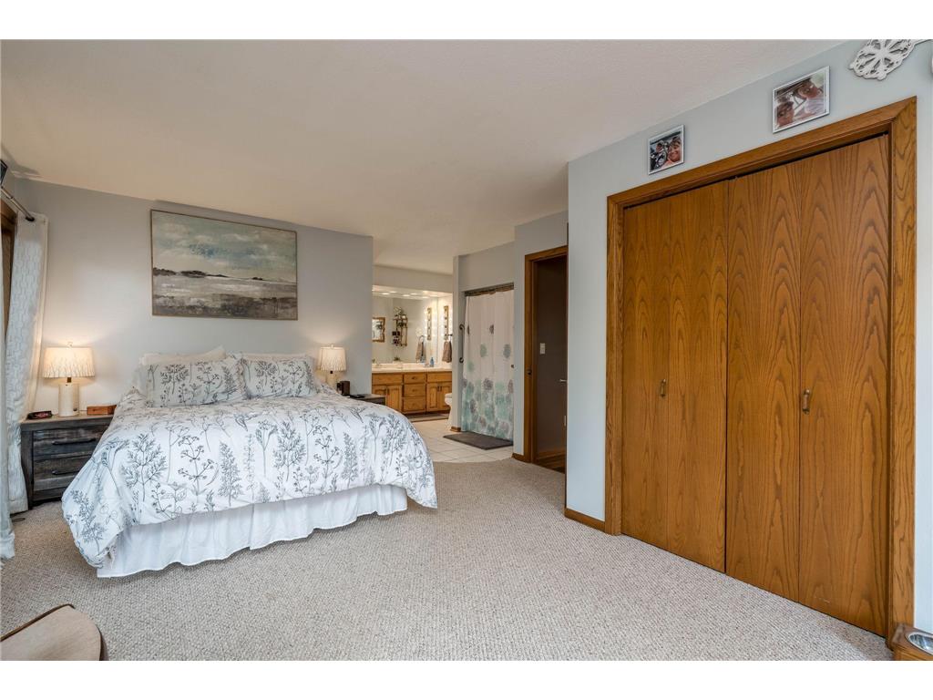 46802 Apache Drive Elysian Twp MN 56017 - East Jefferson 7093193 image14