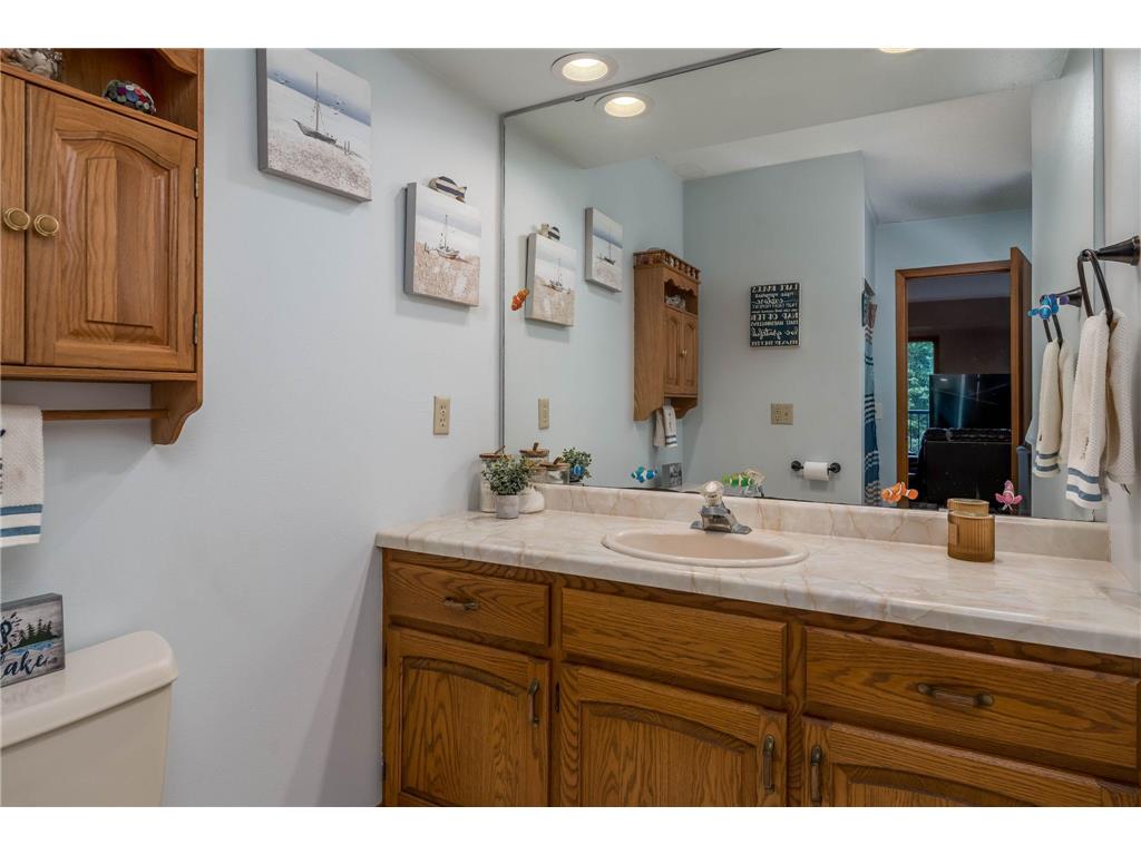 46802 Apache Drive Elysian Twp MN 56017 - East Jefferson 7093193 image17