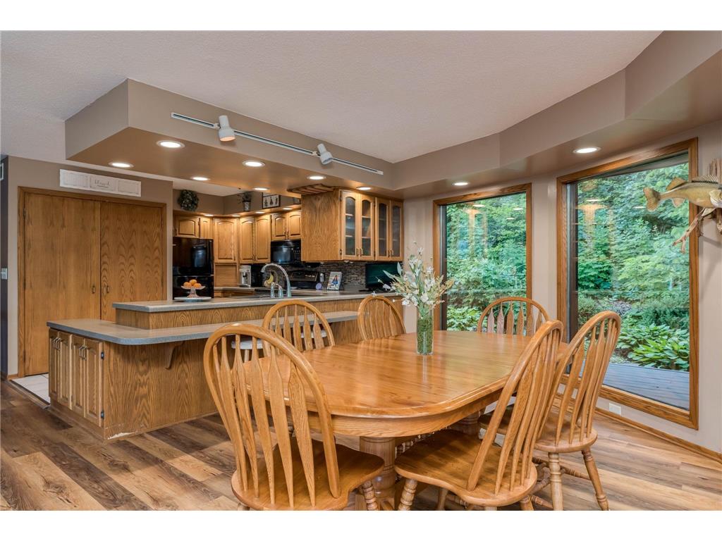 46802 Apache Drive Elysian Twp MN 56017 - East Jefferson 7093193 image7