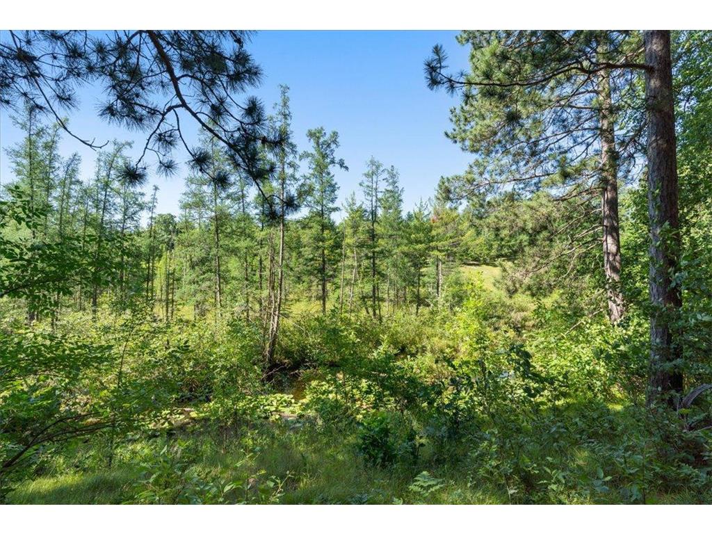 4684 Lower Ten Mile Lake Road NW Hackensack MN 56452 7107886 image33