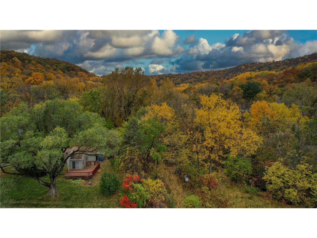 46854 Crabapple Drive Dresbach Twp MN 55947 - Mississippi 6453052 image1