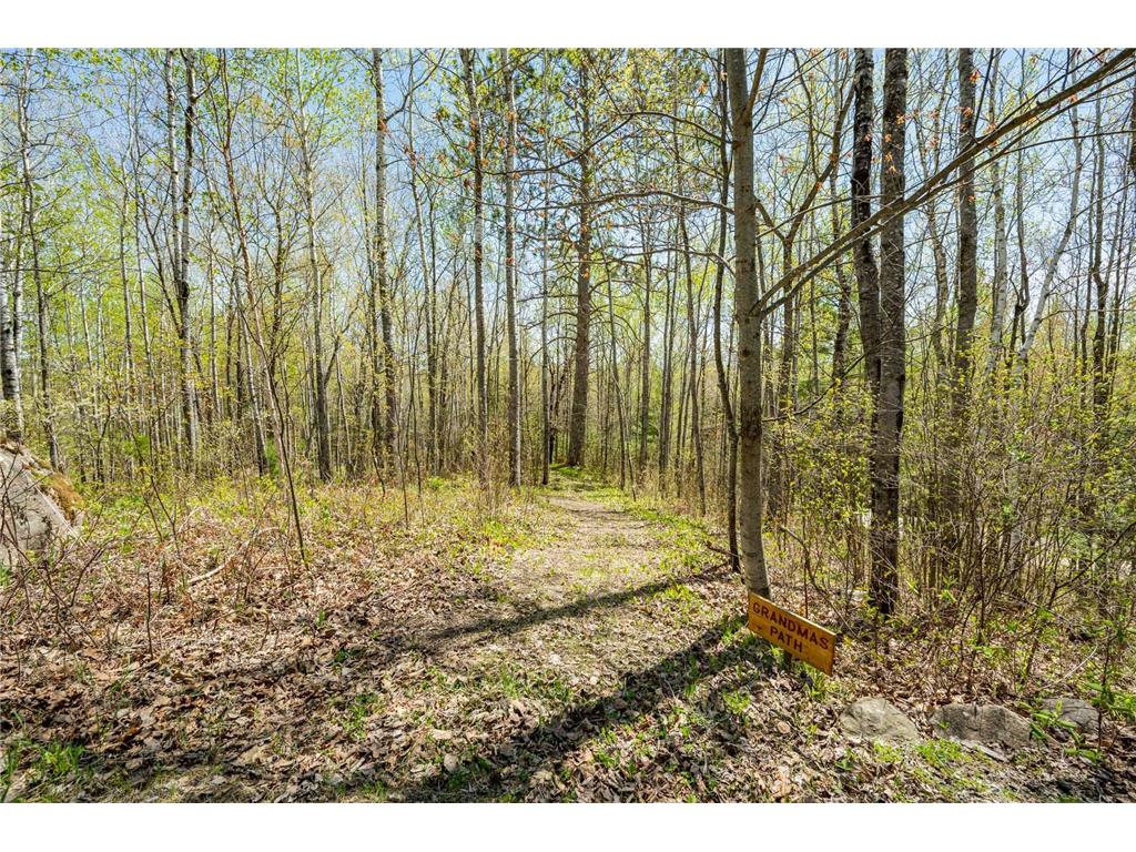 46890 Smith Lake Road Marcell MN 56657 7076924 image72