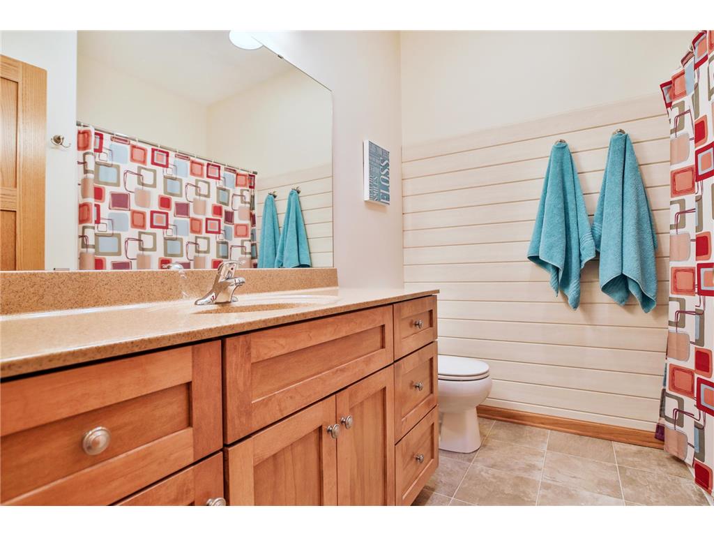 4691 Arctic Lane NW Rochester MN 55901 7046066 image25