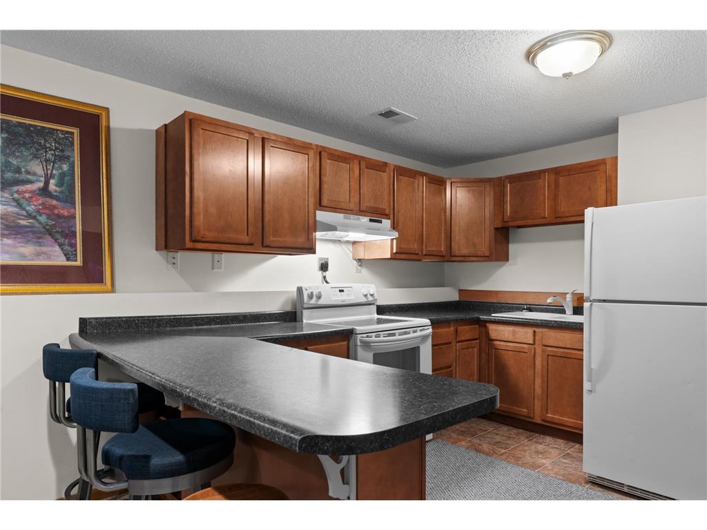 46920 Anchor Avenue Stanchfield MN 55080 6780707 image21